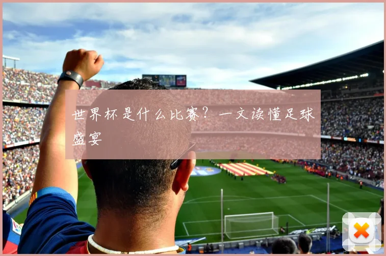 世界杯是什么比赛？一文读懂足球盛宴