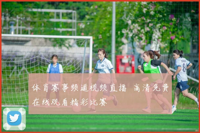 体育赛事频道视频直播 高清免费在线观看精彩比赛