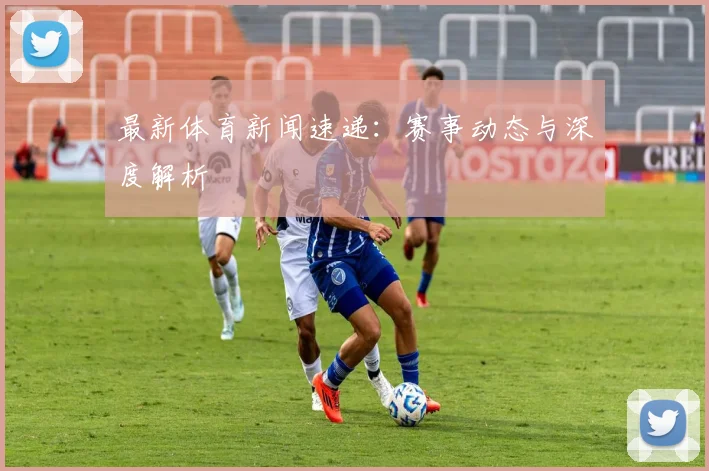 最新体育新闻速递：赛事动态与深度解析